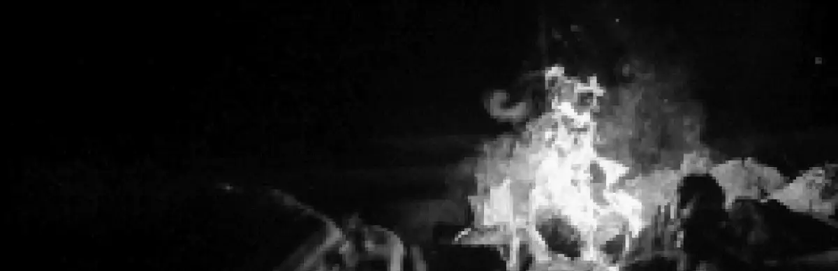 10mg: Slasher, Interrupted