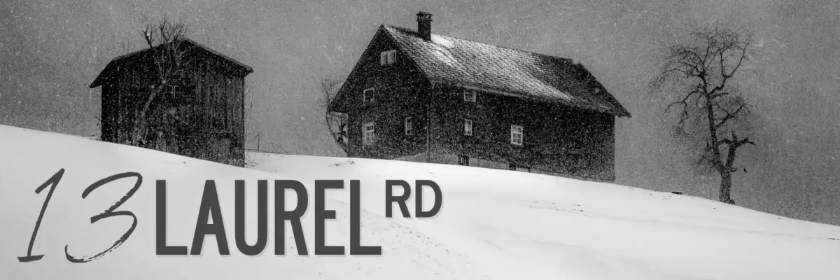 Portada de 13 Laurel Road