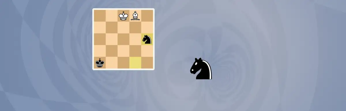 5D Chess With Multiverse Time Travel