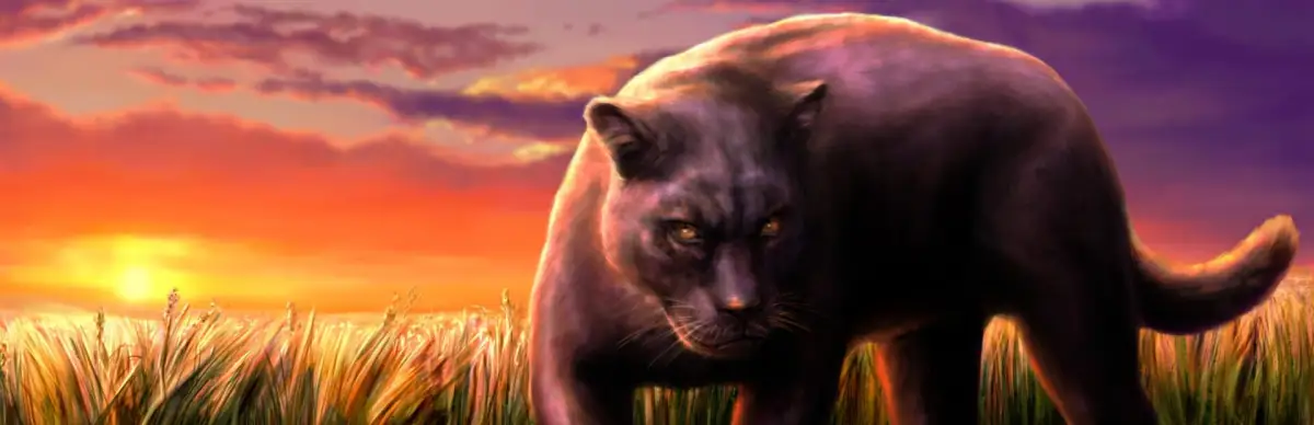 7 Summer Days: Youth sky