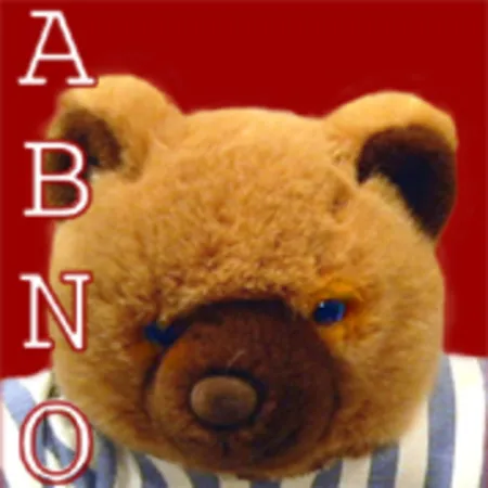 Portada de A Bear’s Night Out