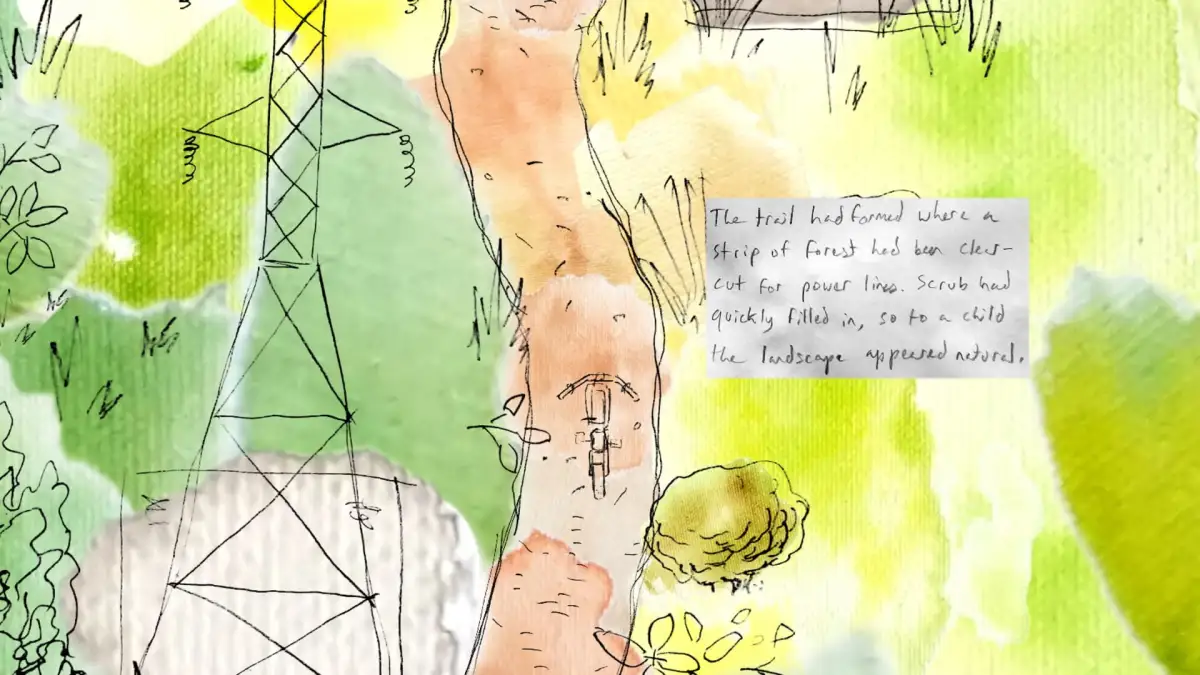 A Bike Ride to the Creek