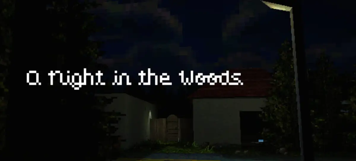 A Night in the Woods