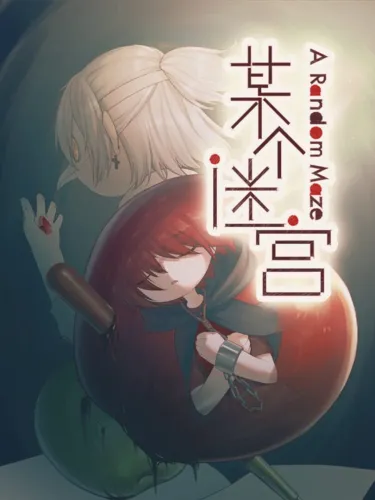 Portada de A Random Maze