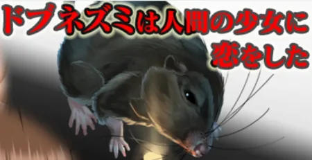 Portada de A Rat Fell in Love with a Human Girl