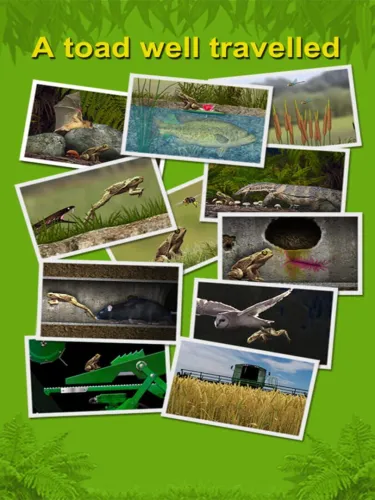 Portada de A toad well travelled