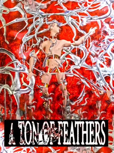 Portada de A Ton of Feathers