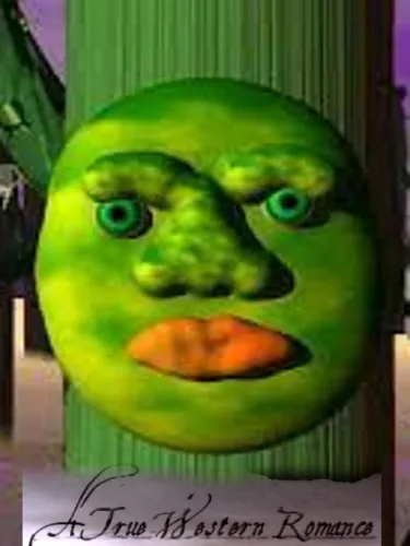 Portada de A True Western Romance