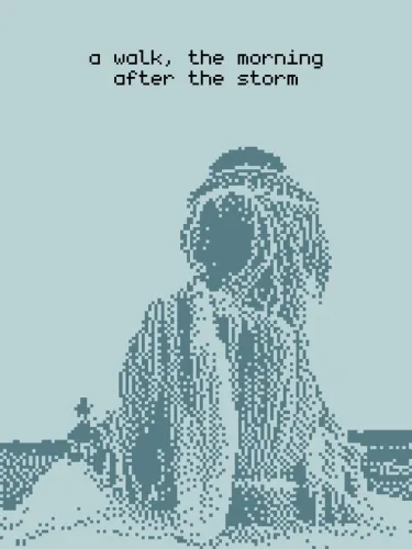 Portada de A Walk, the Morning After the Storm