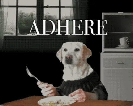 Portada de Adhere: The Good Boy