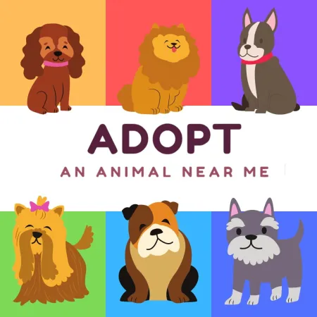 Portada de Adopt an Animal Near Me