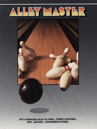 Portada de Alley Master