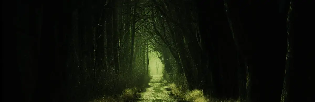 Alone Again: The Countryside