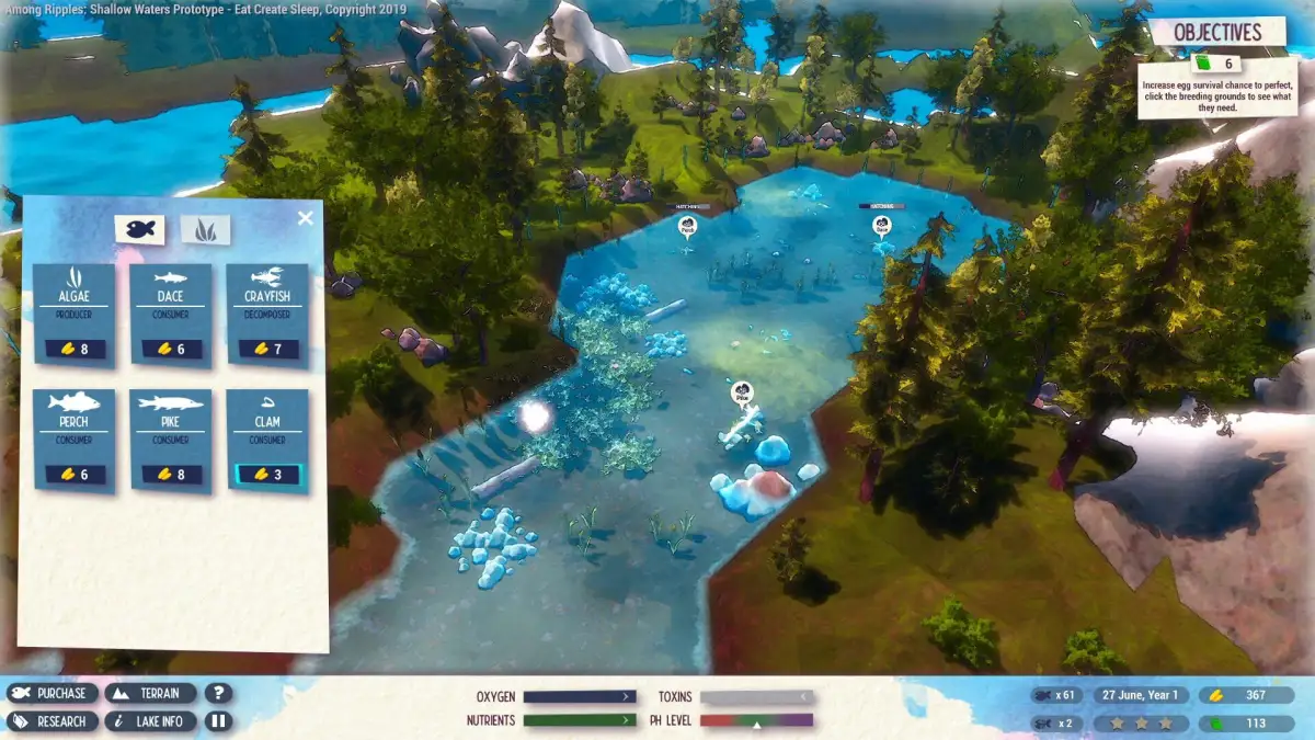 Among Ripples: Shallow Waters