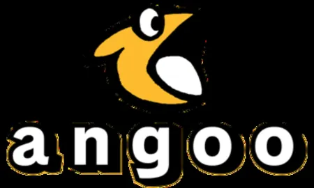 Portada de angoo Inc.