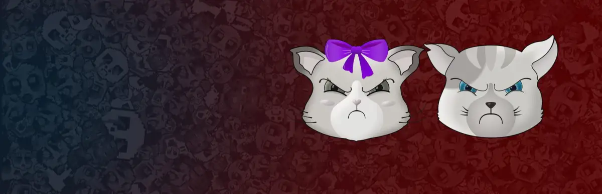 Angry Cat
