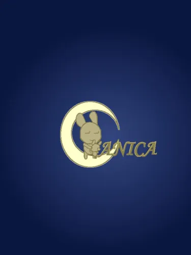 Portada de Anica