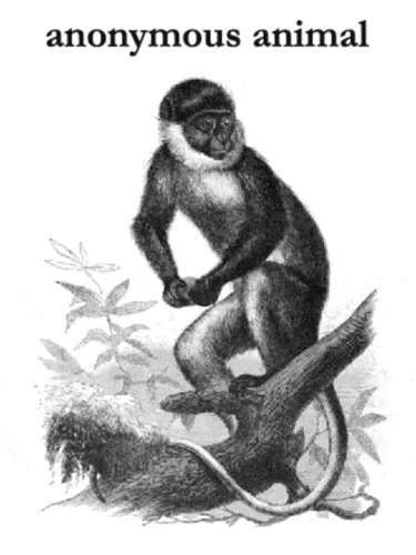 Portada de Anonymous Animal