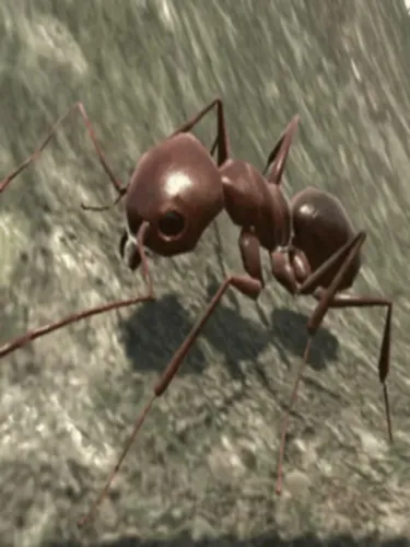 Portada de Ant Simulator 3D