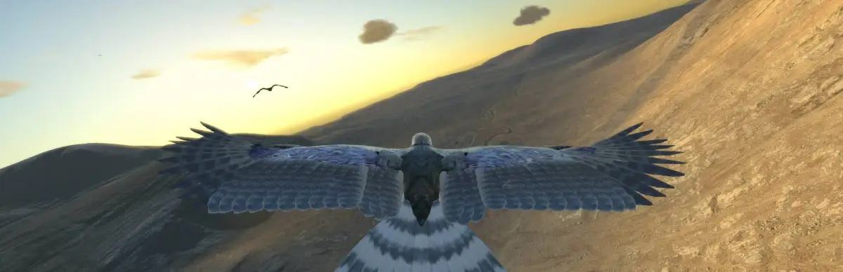 Aquila Bird Flight Simulator