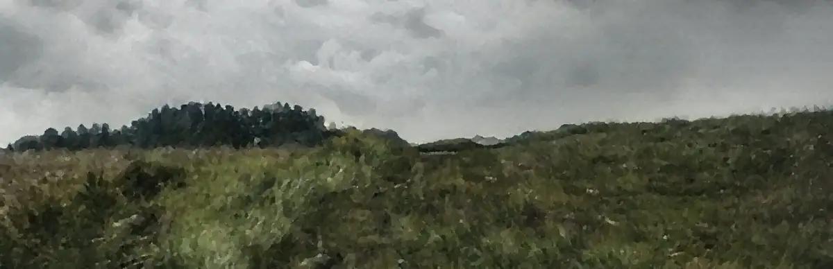 As Talk As Walk Wayfarer Team: One Percent Sleepy