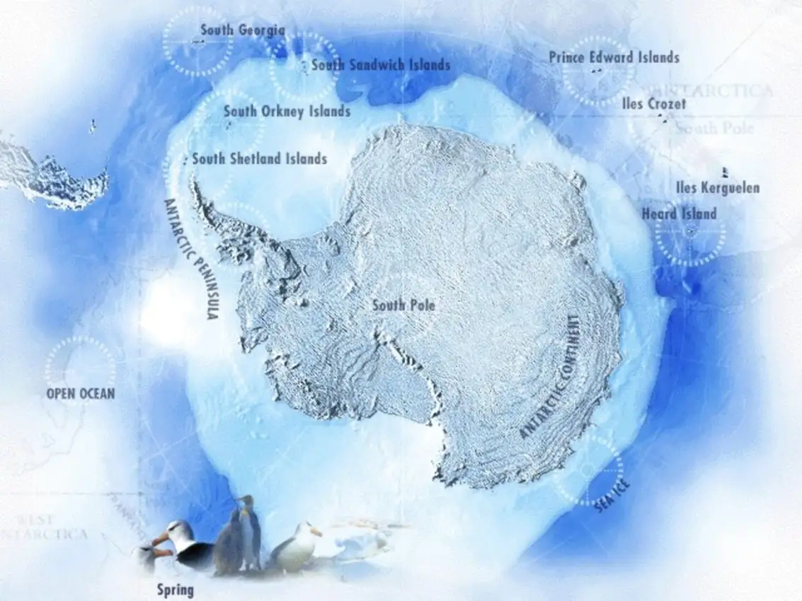 Attenborough’s Antarctic: An Exploration of Life in the Freezer