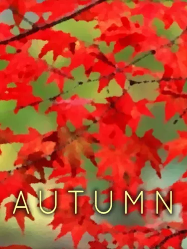 Portada de Autumn