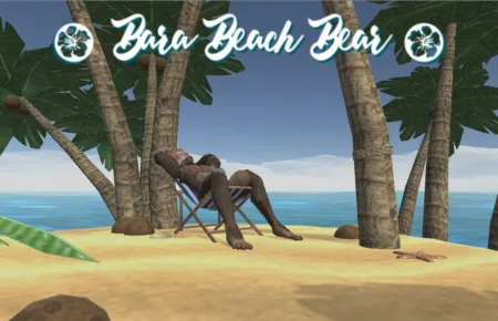 Portada de Bara Beach Bear