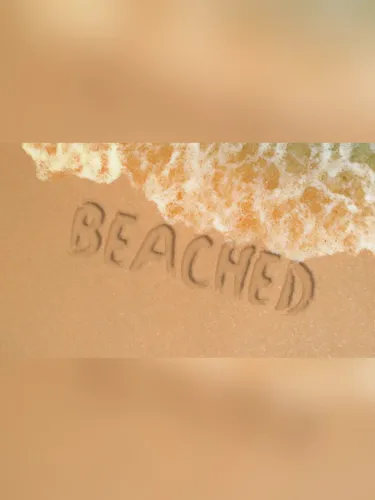 Portada de Beached