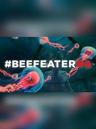 Portada de BeefeaterXO