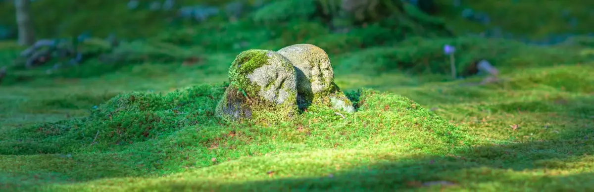 Bepuzzled Jigsaw Puzzle: Japan