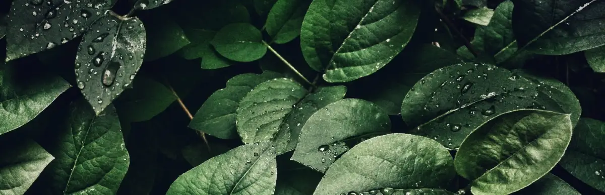 Bepuzzled Jigsaw Puzzle: Nature