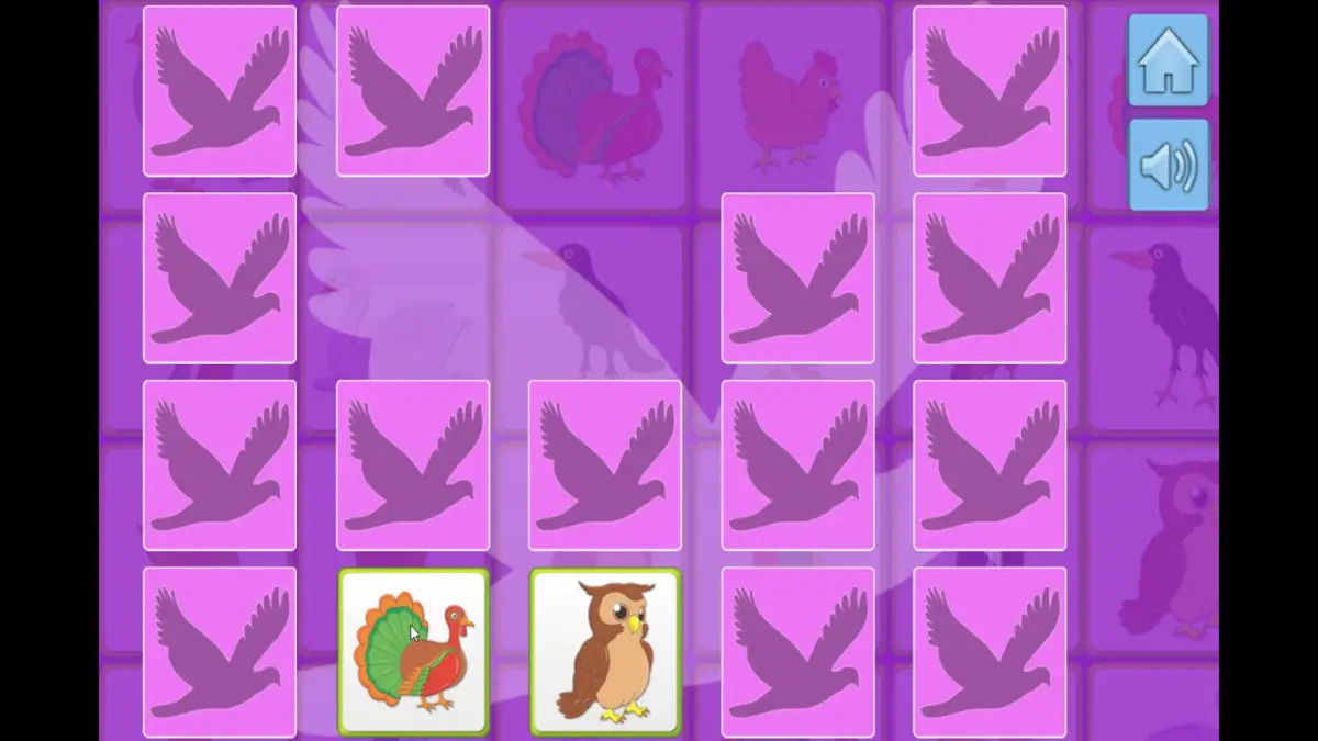 Portada de Bird Memory