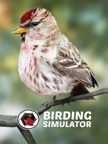 Portada de Birding Simulator