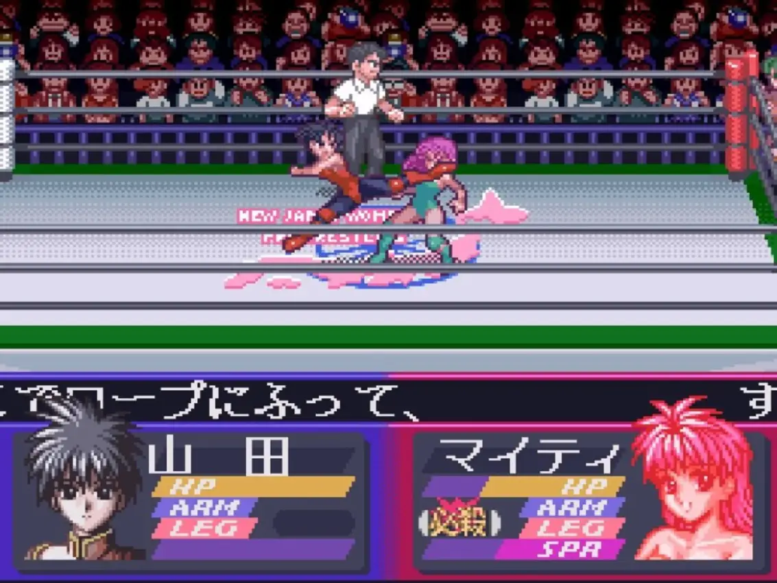 Bishoujo Wrestler Retsuden: Blizzard Yuki Rannyuu!!