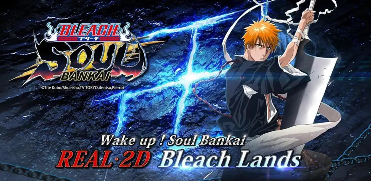 Bleach: Soul Bankai