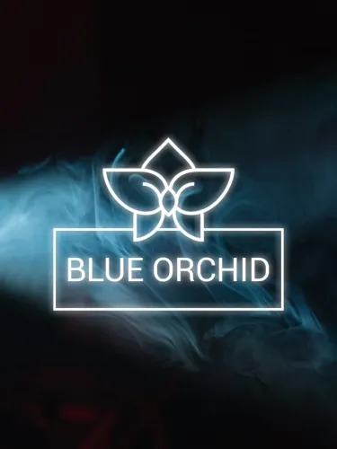 Portada de Blue Orchid: Interactive Story