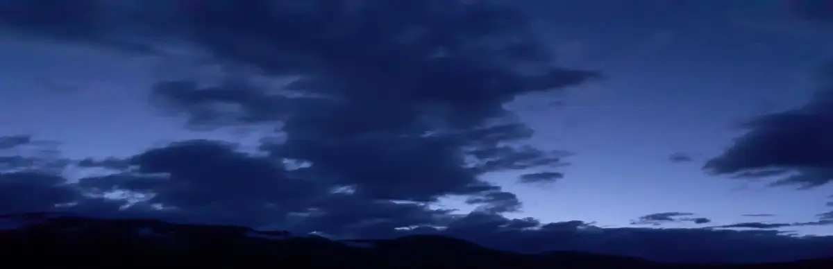 BorderCollie Blaster