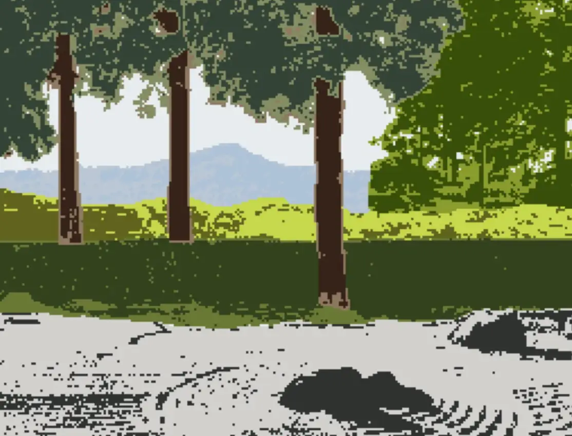 Portada de Borrowed Landscapes