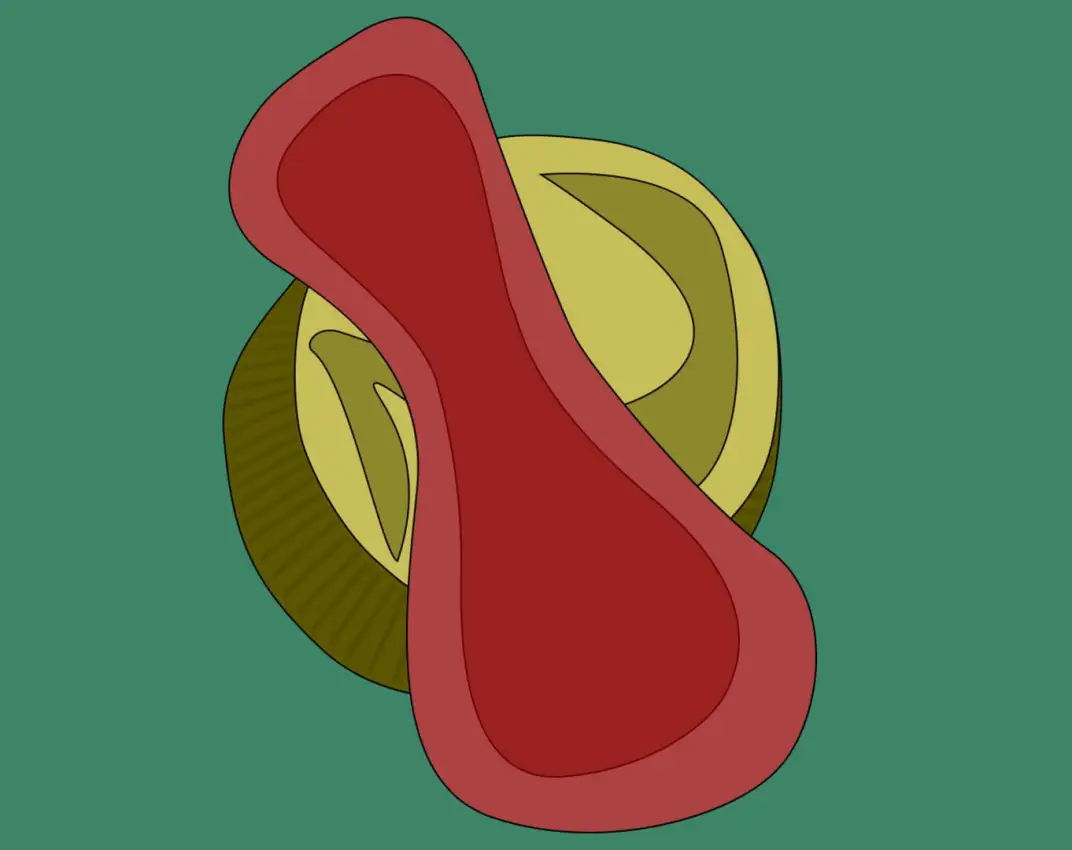 Portada de Bound By Blood