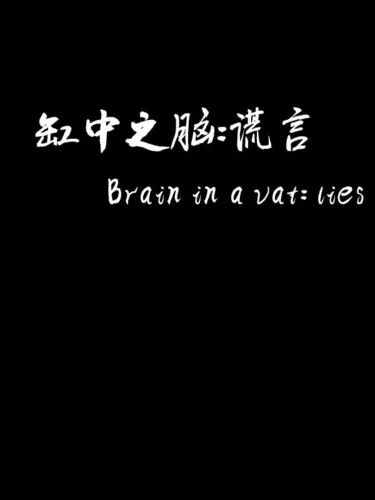 Portada de Brain in a Vat Lies