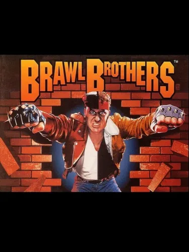 Portada de Brawl Brothers