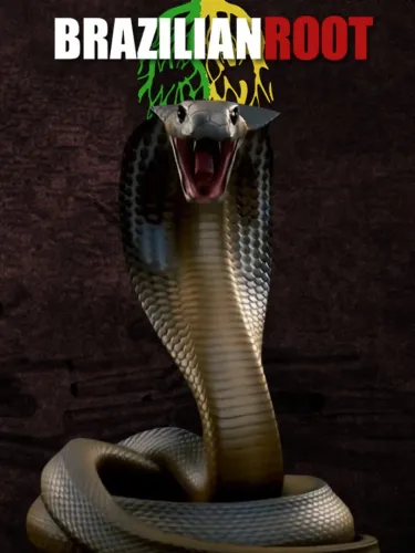 Portada de Brazilian Root