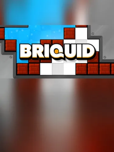 Portada de Briquid