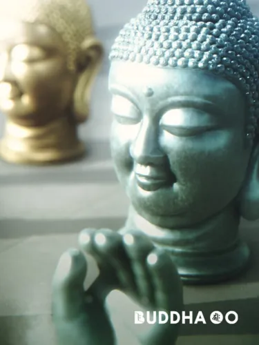 Portada de Buddha Go