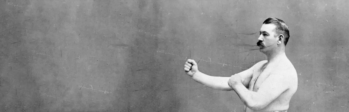 BVOVB: Bruising Vengeance of the Vintage Boxer