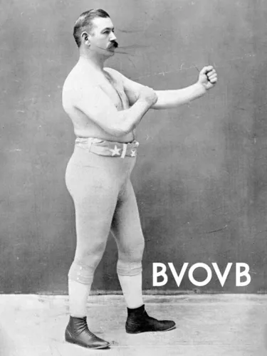 Portada de BVOVB: Bruising Vengeance of the Vintage Boxer