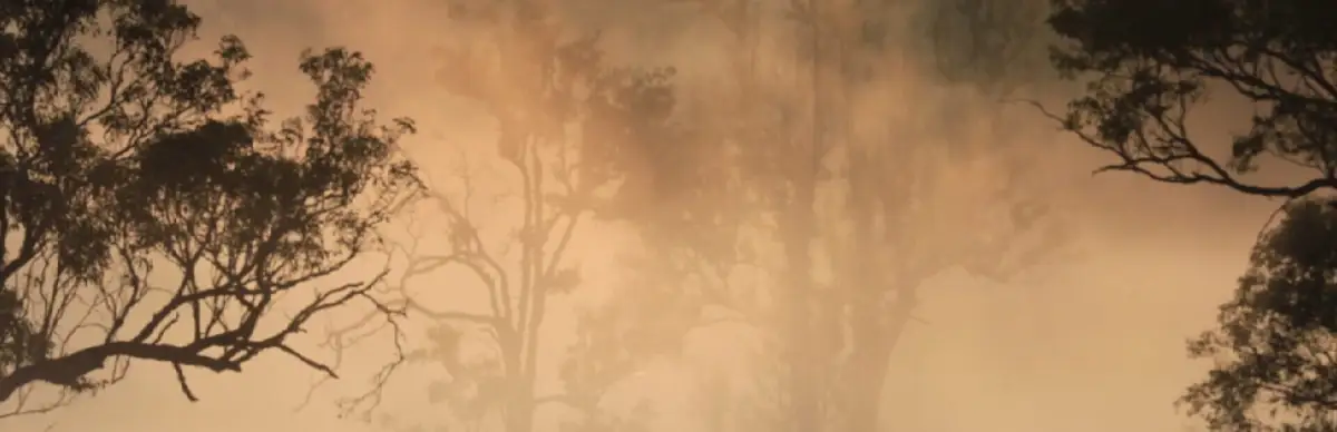 Call of the Golden Valley