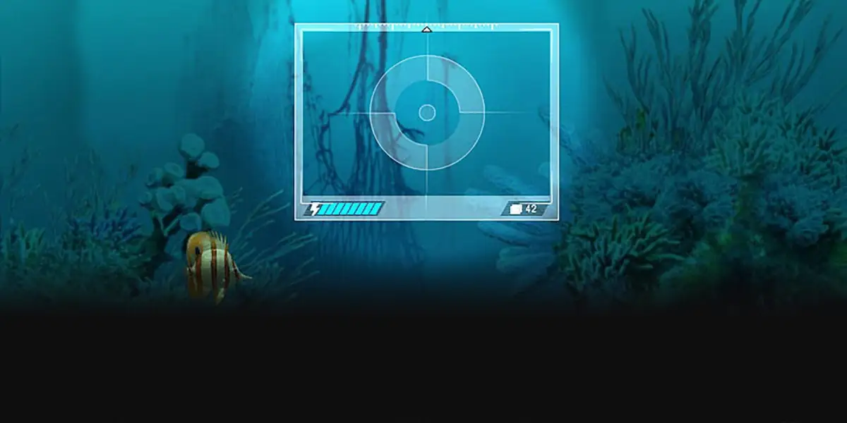 Caribbean Sea Fishes