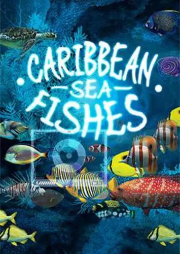 Portada de Caribbean Sea Fishes